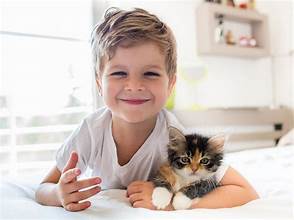 Ways Cats Help Calm Anxiety in Children with Special Needs